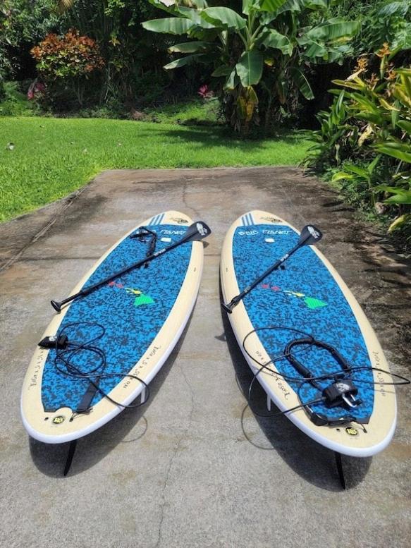 Newly Renovated Condo With Sup Paddle Boards And Golf Clubs Included Kailua-Kona Buitenkant foto