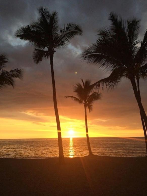 Newly Renovated Condo With Sup Paddle Boards And Golf Clubs Included Kailua-Kona Buitenkant foto
