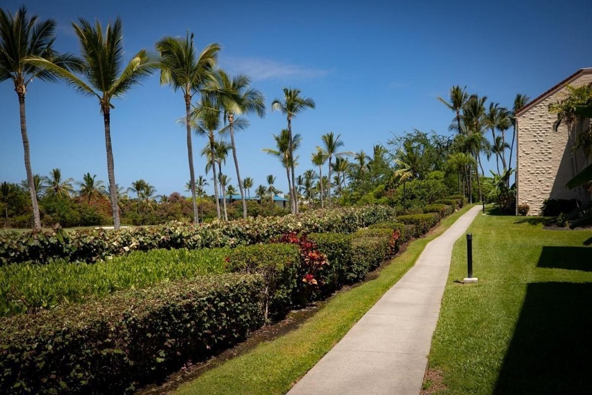 Newly Renovated Condo With Sup Paddle Boards And Golf Clubs Included Kailua-Kona Buitenkant foto