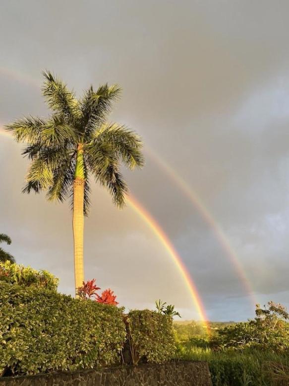 Newly Renovated Condo With Sup Paddle Boards And Golf Clubs Included Kailua-Kona Buitenkant foto